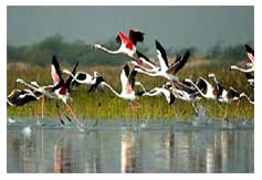 Bharatpur-Agra Tour