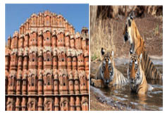 Rajasthan Tour